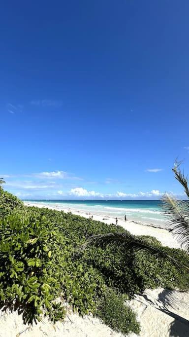 New Ikebana * Tulum